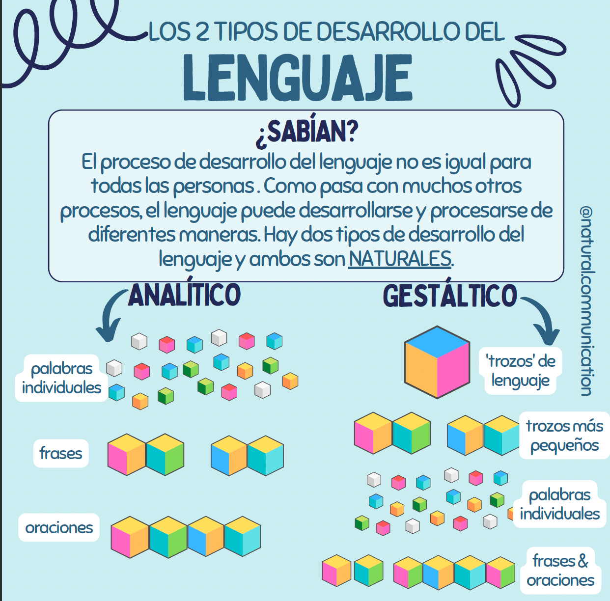 2 tipos de desarrollo del lenguaje: español